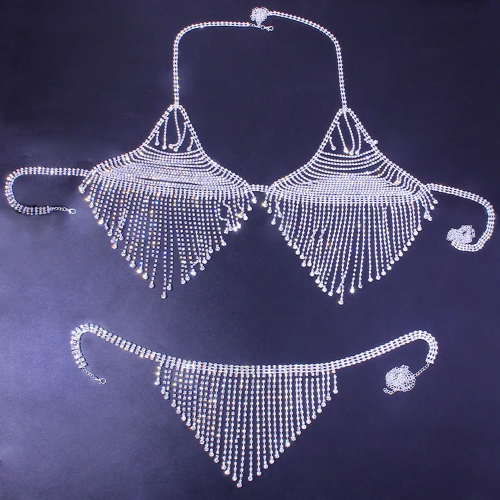 Bling Rhinestone Tassel Body C - Body Jewelry Retainers recension och pris